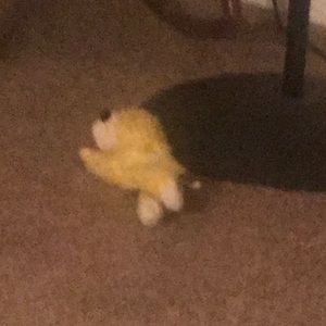 Meet your Posher, Julia